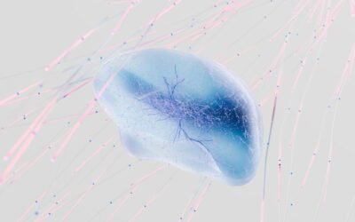 Agentic AI and MCP Server for SAP Commerce: What It Means for Your Storefront